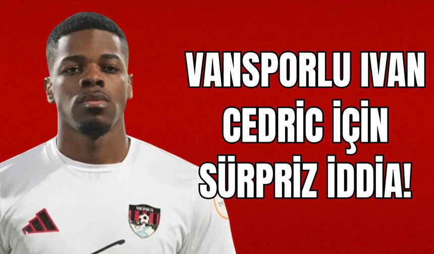 Vanspor’un Gol Makinesi İvan Cedric Bursaspor’un Radarında!