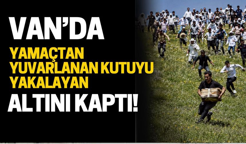 Van'da Balın Peşinde Tehlikeli Yarış: Yamaçtan Yuvarlanan Kutuyu Yakalayan Altını Kaptı!