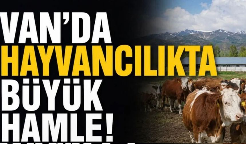Van'da 270 Bin Koyun Dağıtıldı! 2 Bin 700 Aile Destekten Yararlandı