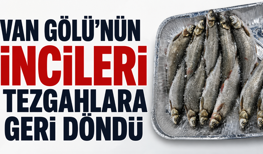 Av Yasağı Sona Erdi, İnci Kefali Tezgâhlara Döndü