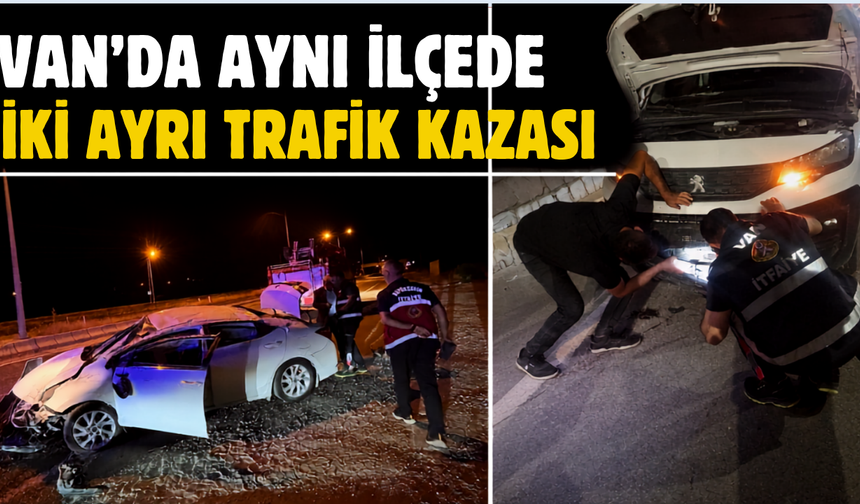 Van Edremit'te 2 Ayrı Kaza: Bir Yaralı, Bir Köpek Kurtarıldı