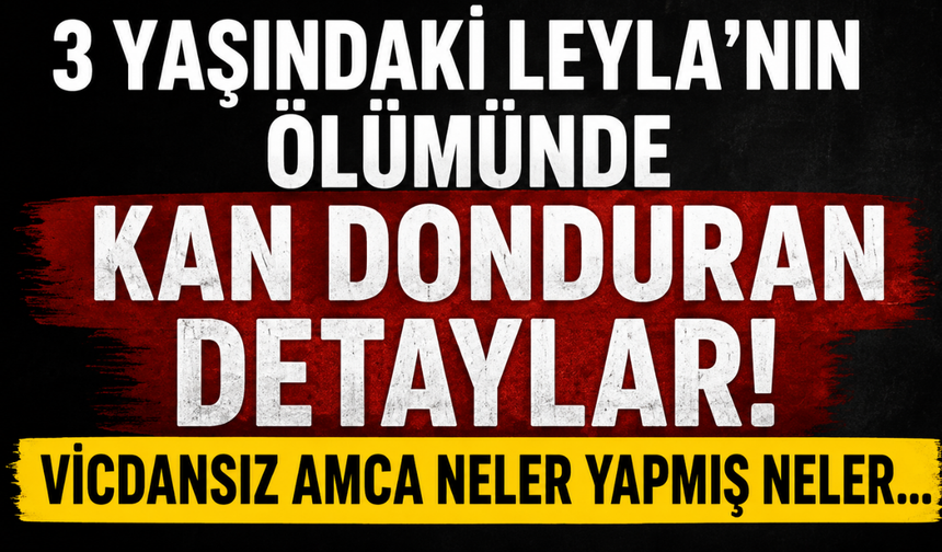 Leyla Aydemir dosyasında şoke eden detaylar...