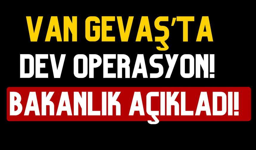 Van Gevaş'ta tıra narkotik baskını!  333 kilo skunk ele geçirildi