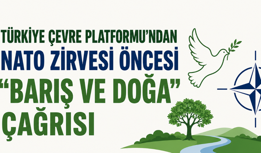 Türkiye Çevre Platformu'ndan NATO Zirvesi Öncesi "Barış ve Doğa" Çağrısı