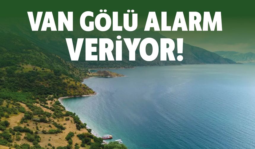 Van Gölü Alarm Veriyor mu? Kıyılardaki Yeşil Görüntü Mercek Altında
