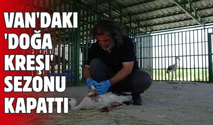 Yabanın Öksüz Yavruları Yeniden Özgürlüğe Uçtu!