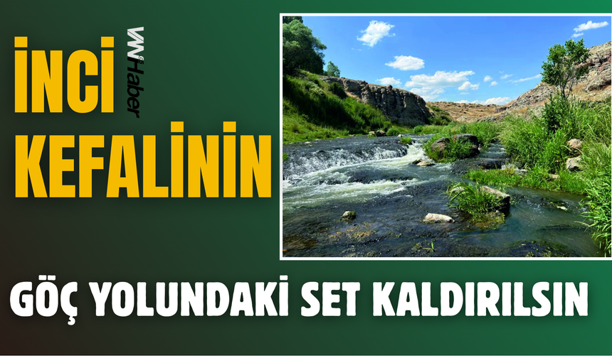 Erciş'te Keçelbend İçin Çağrı: İnci Kefalinin Göç Yolundaki Engel Kaldırılsın