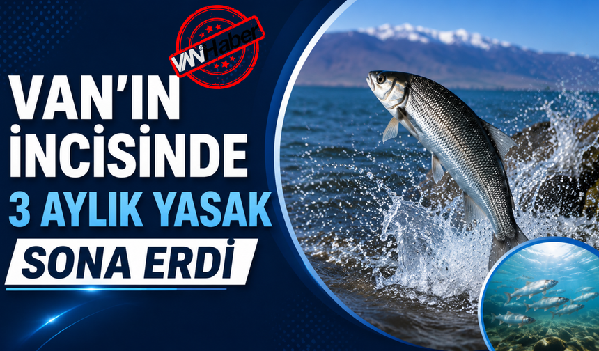 İnci Kefalinde 3 Aylık Av Yasağı Sona Erdi!