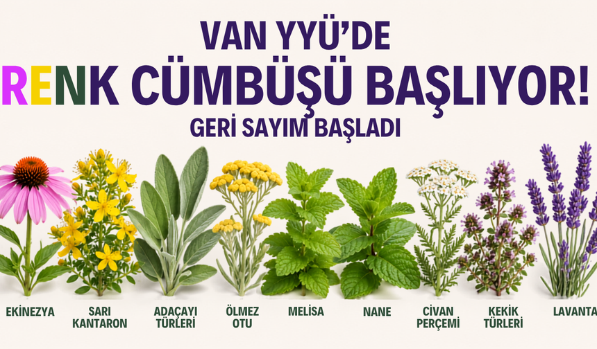 Van YYÜ'de Renk Cümbüşü Başlıyor! Gezi ve Fotoğraf Günleri İçin Geri Sayım Başladı!