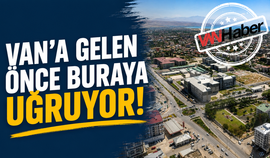 Van'a Gelenlerin İlk Durağı Kedi Villası! Ziyaretçi Sayısı Arttı