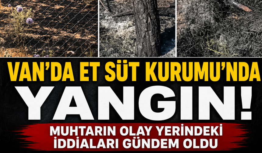 Van'da Et Süt Kurumu'nda Yangın: 20 Ağaç Zarar Gördü, Muhtardan Suç Duyurusu