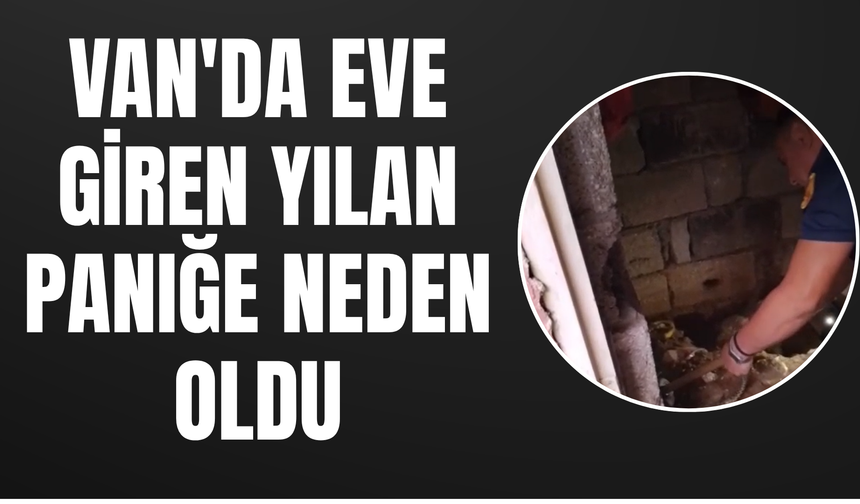 Van'da Eve Giren Yılan Paniğe Neden Oldu!