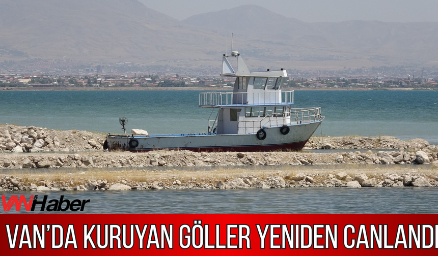 Van'da Yağışların Etkisi Görüldü: Van Gölü ve Sulak Alanlarda Su Seviyesi Arttı