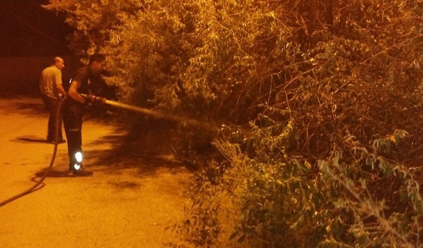 Van’da Bahçe Yangını