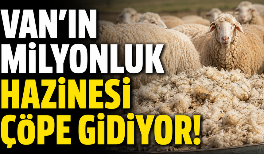 DOĞUSİFED’den Önemli Açıklama: Yünlerimize Sahip Çıkamıyoruz!