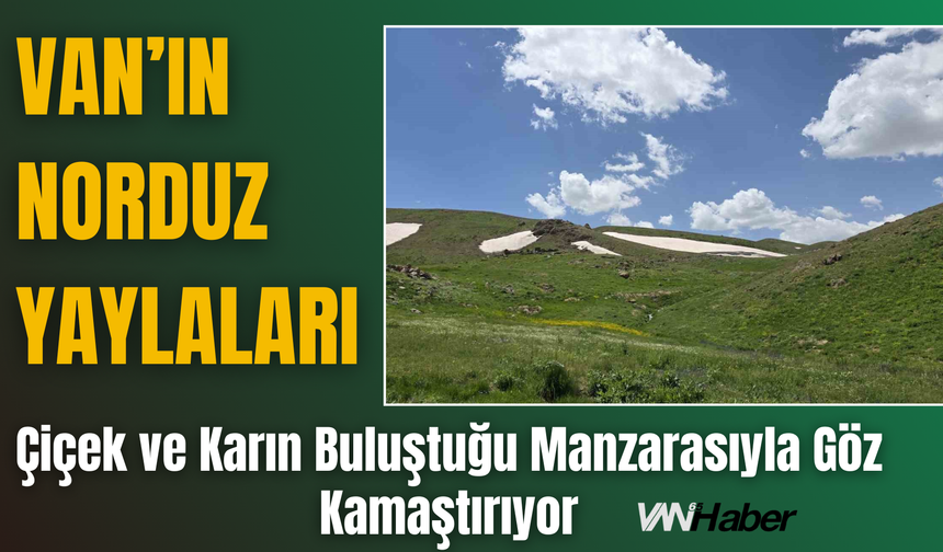 Van’ın Yaylaları Çiçek ve Karın Buluştuğu Manzarasıyla Göz Kamaştırıyor
