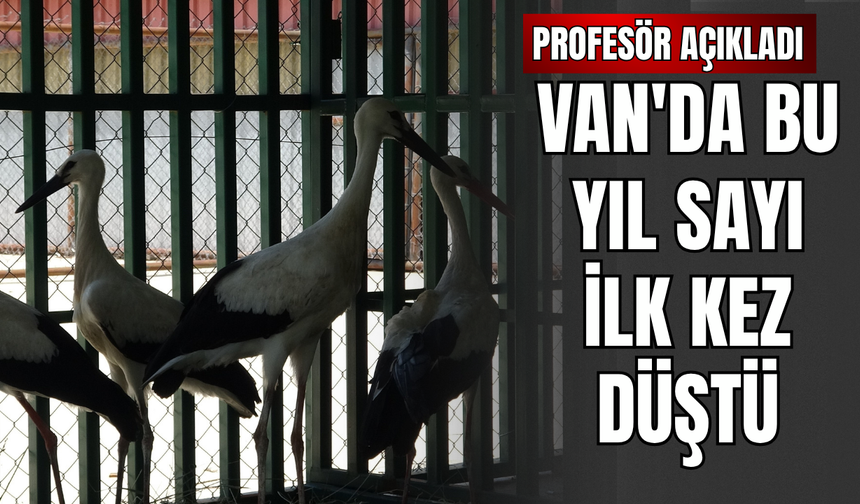 YYÜ’de Yaban Yavrularının ‘Kreş’ Dönemi Tamamlandı