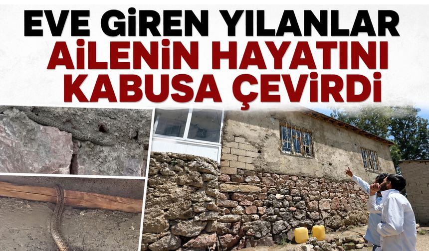 Eve Giren Yılanlar Ailenin Hayatını Kabusa Çevirdi