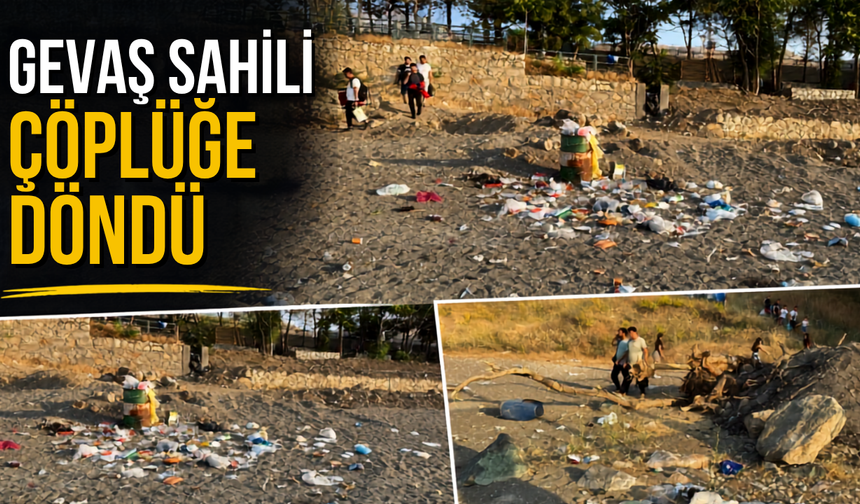 Gevaş Halk Plajı'nda Çöplüğe Döndü! Başkan Güngör'den Sert Tepki!
