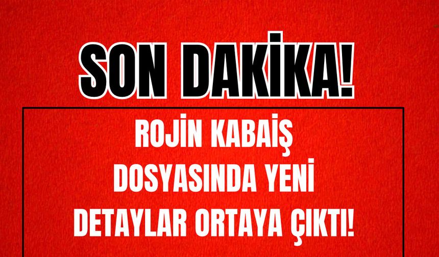 Rojin Kabaiş Soruşturmasında Yeni Detaylar Ortaya Çıktı!