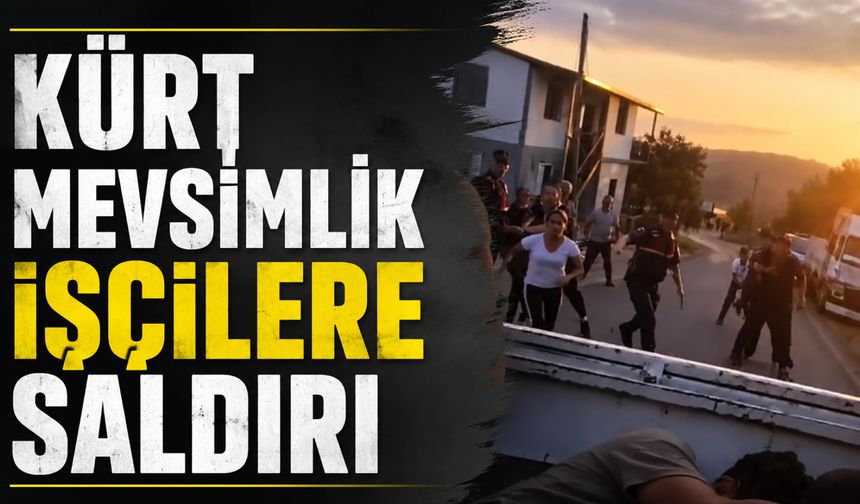 Kürt Mevsimlik İşçilere Zonguldak’ta Saldırı