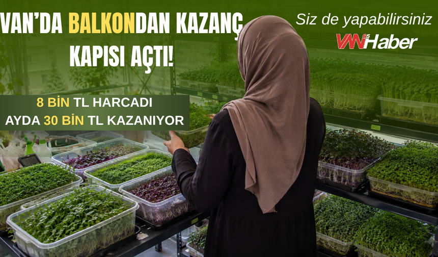Van’da Balkondan Kazanç Kapısı Açtı! 8 Bin TL Harcadı, Ayda 30 Bin TL Kazanıyor