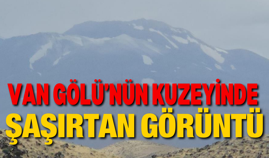 Van Gölü’nün kuzeyinde şaşırtan görüntü