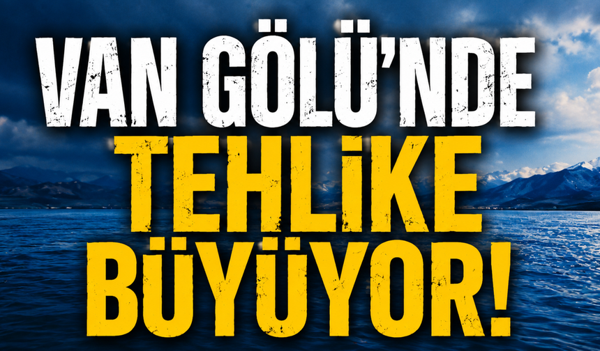 Van Gölü’nde Boğulma Tehlikesi Büyüyor! Uzmanlar Uyardı