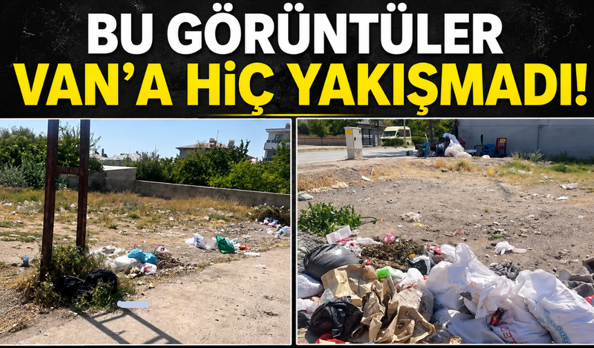 Bu Görüntüler Van'a Hiç Yakışmadı!