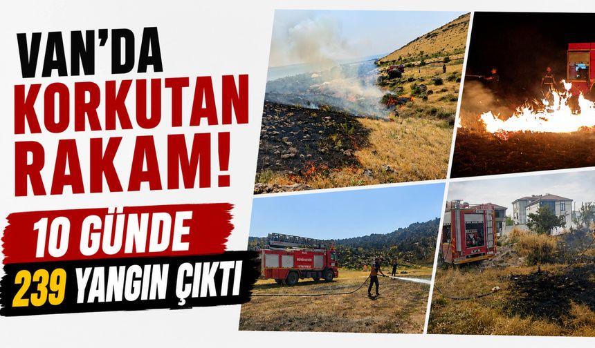 Van'da Alarm Veren Tablo! Son 10 Günde 239 Yangına Müdahale Edildi
