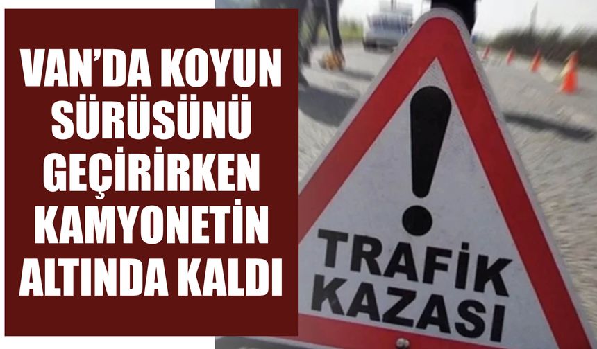 Van’da Koyun Sürüsünü Geçirirken Kamyonetin Altında Kaldı