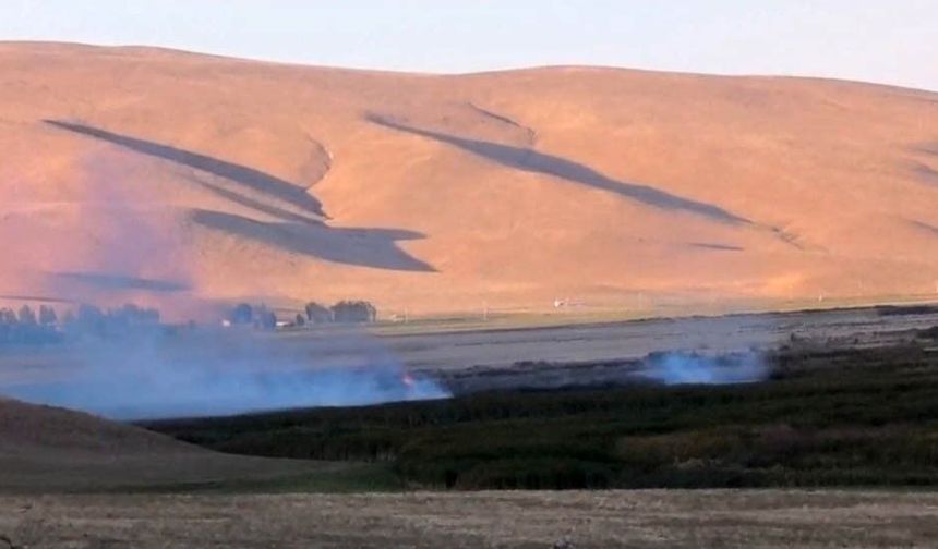 Van’da Kuşların Yaşam Alanında Yangın! Çırak Sazlığı Alevlere Teslim Oldu