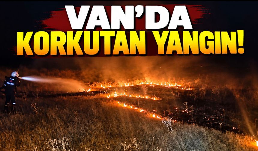 Van Tuşba’da örtü yangını!