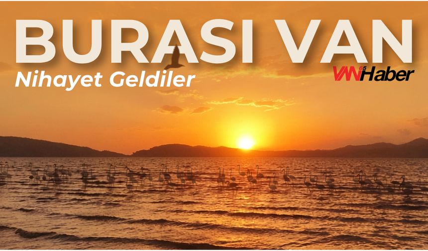 Van Erçek Gölü’nde beklenen görüntü! Allı turnalar göle renk kattı