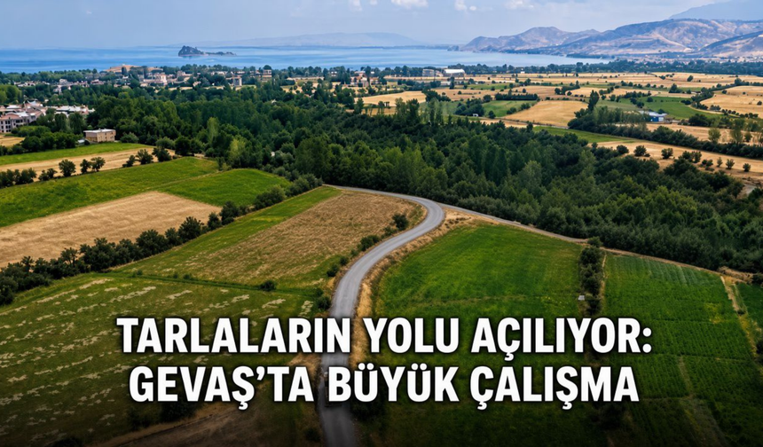 Tarlaların Yolu Açılıyor: Gevaş'ta Büyük Çalışma