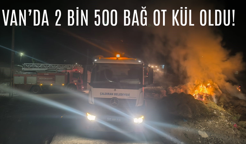Van’da 2 Bin 500 Bağ Ot Kül Oldu! Yangın 5 Saatte Söndürüldü