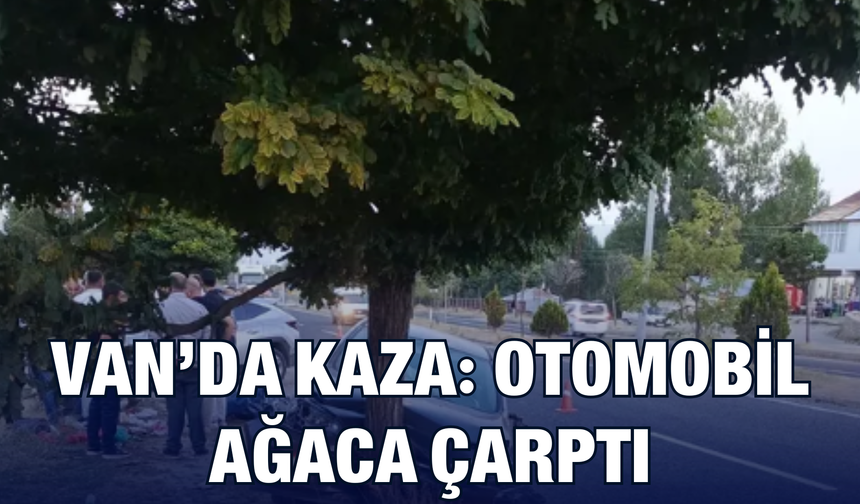 Van’da Kaza: Otomobil Ağaca Çarptı