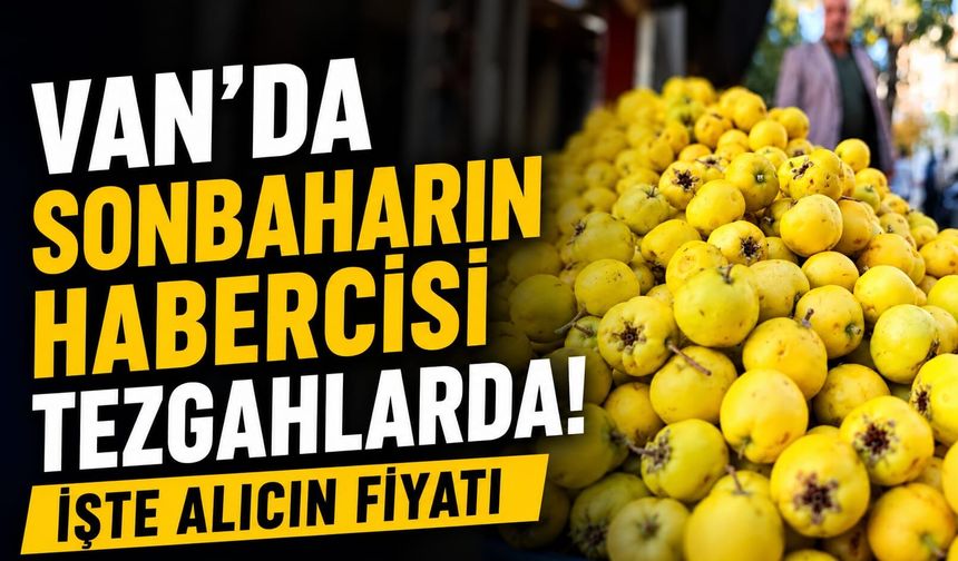 Van’da Sonbaharın Habercisi Tezgahlarda! İşte Alıcın Fiyatı