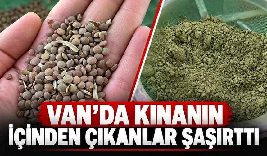 Van’da Kınanın İçinden Çıkanlar Şaşırttı!