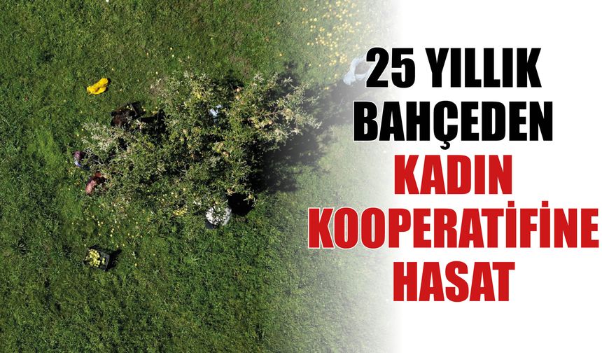 25 Yıllık Bahçeden Kadın Kooperatifine Hasat