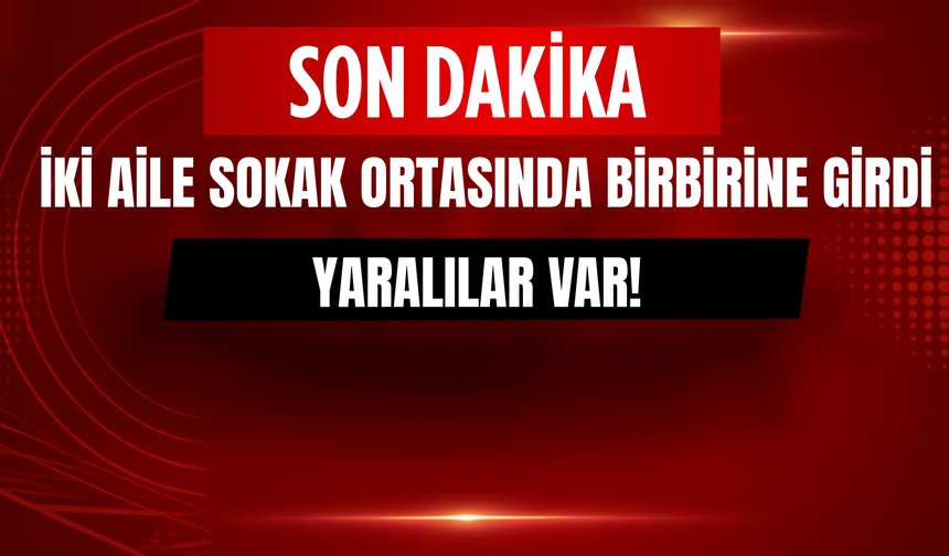 Bitlis'te İki Aile Birbirine Girdi: Sokak Ortasında Kavga!