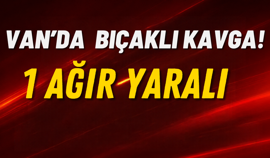 Erciş’te Bıçaklı Kavga: Bir Gencin Durumu Ağır