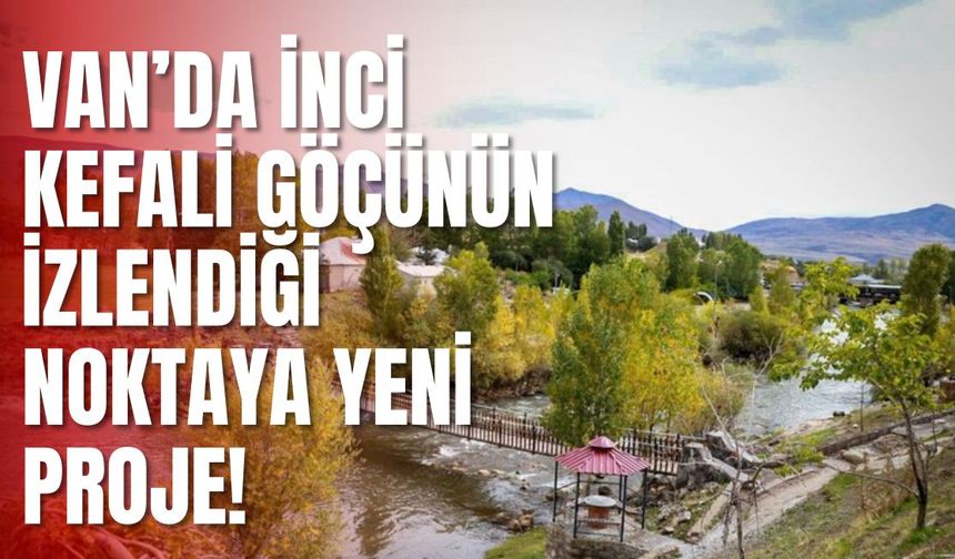 Van’ın Balık Bendi’ne bungalov ev, lokanta ve kafe yapılacak!