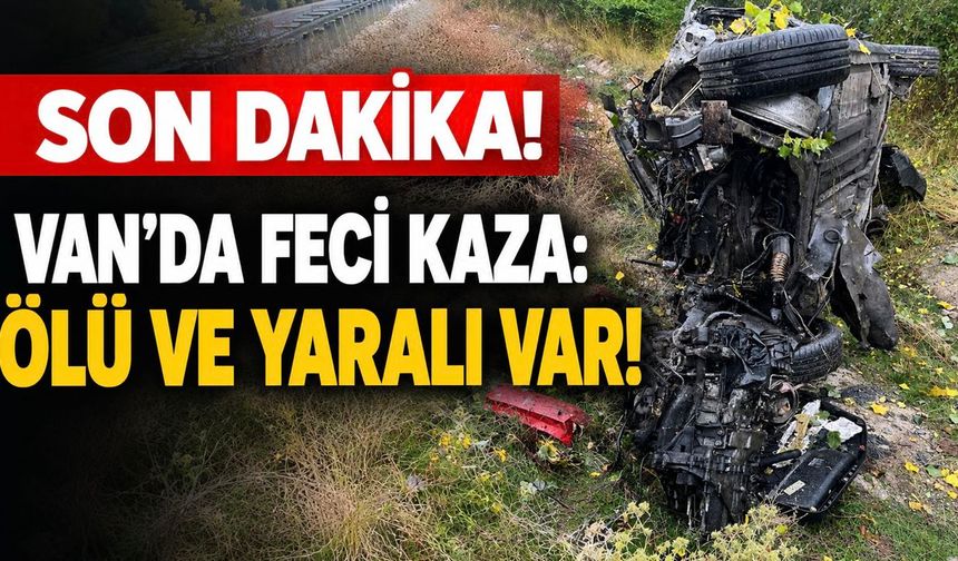 Son Dakika! Van Gevaş yolunda feci kaza: 1 Ölü 1 Yaralı
