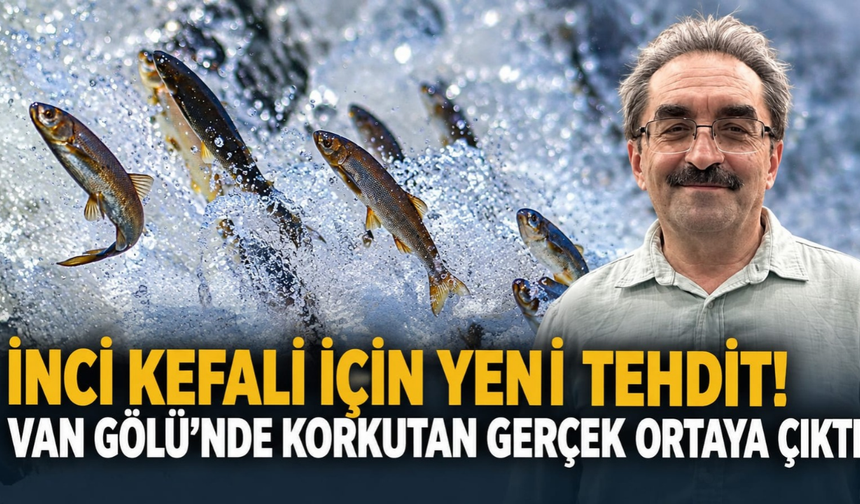 İnci kefali için yeni tehdit! Van Gölü’nde mikroplastik alarmı