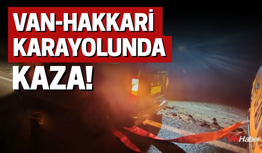 Van-Hakkari Karayolunda Kaza!