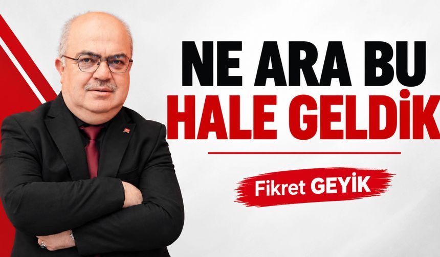 Ne Ara Bu Hale Geldik