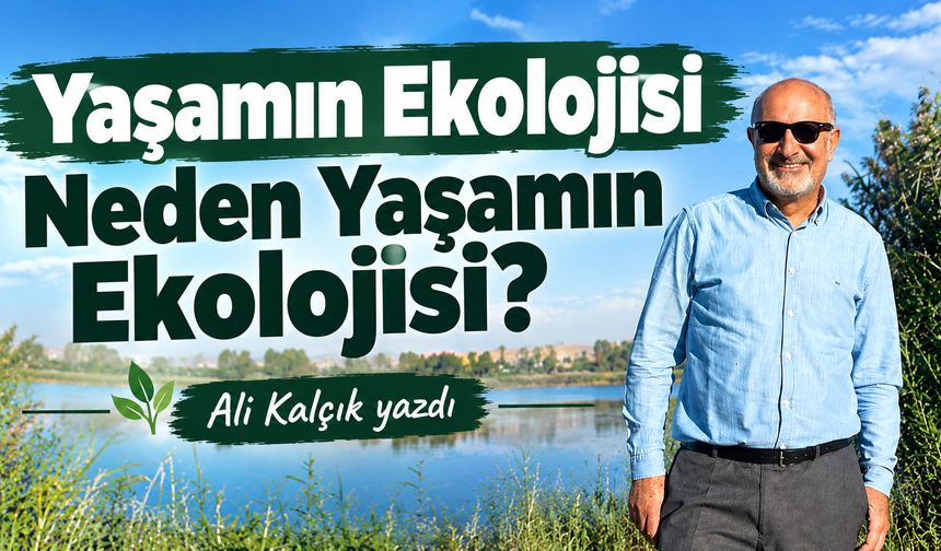Yaşamın Ekolojisi  Neden Yaşamın Ekolojisi?