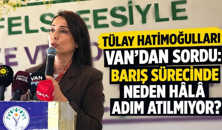 Tülay Hatimoğulları Van’da Konuştu: Barış Sürecinde “Daha Ne Bekleniyor?” Çağrısı