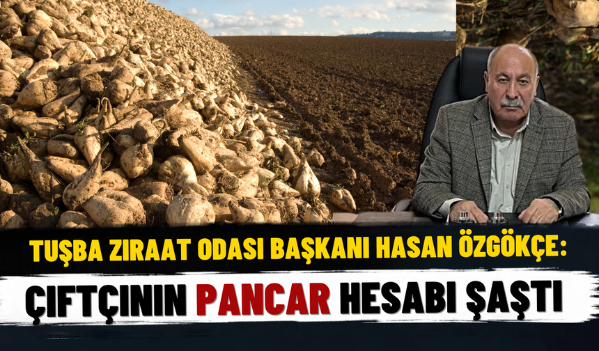 Tuşba Ziraat Odası Başkanı Özgökçe: Şeker pancarı fiyatı Vanlı çiftçiyi memnun etmedi